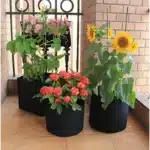 Geo Fabric Grow Bags | Plant Pot | Geo Bag BD